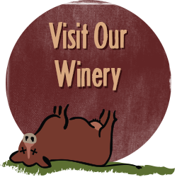 visit our winery